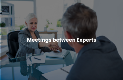 Meetings between Experts